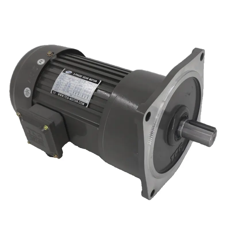 Vorsichtsmaßnahmen für Installation und Wartung des TCG (Tai Chuang Gear Motor).