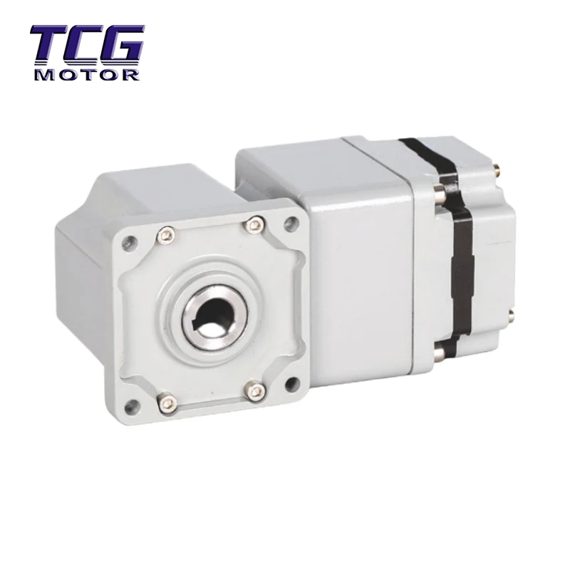 60-W-BLDC-Motor mit 80-GR-Winkelgetriebe