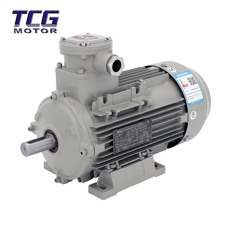 Explosionsgeschützter Motor Ex d IIC T4, B3-Montage
