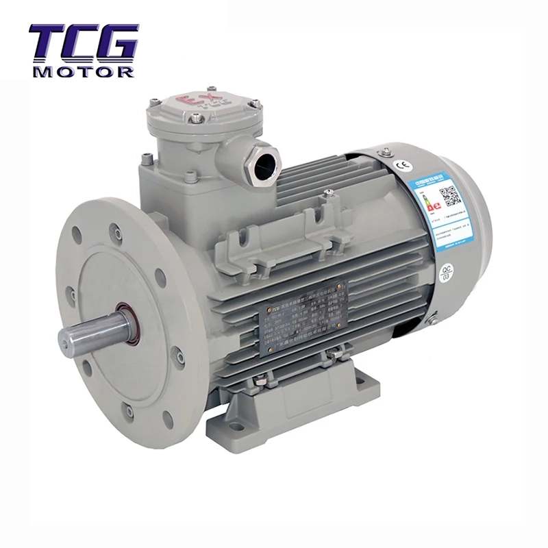 Ex d IIC T4 Explosionsgeschützter Motor B35 Fuß