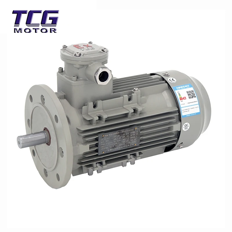 Explosionsgeschützter Motor Ex d IIC T4 mit B5-Flanschmontage