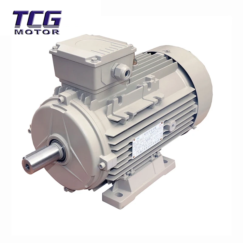 Hocheffizienter B3-Motor mit Fußmontage