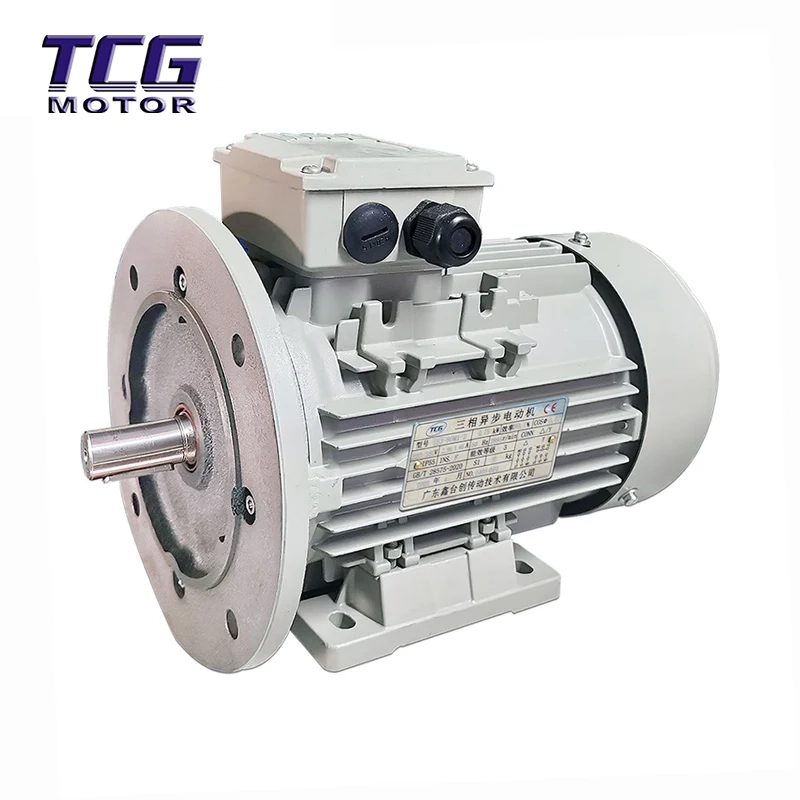 Hocheffizienter Motor B35 mit Flanschmontage