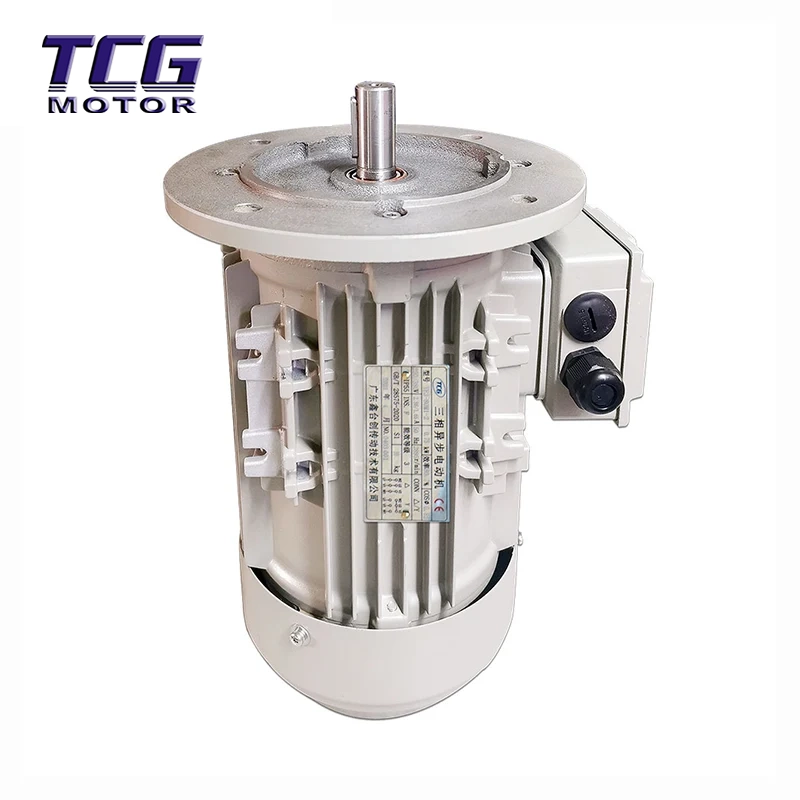 Hocheffizienter Motor mit B5-Flanschmontage