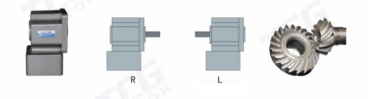 GR Series Right Angle Gear Reducer Right Output Shaft