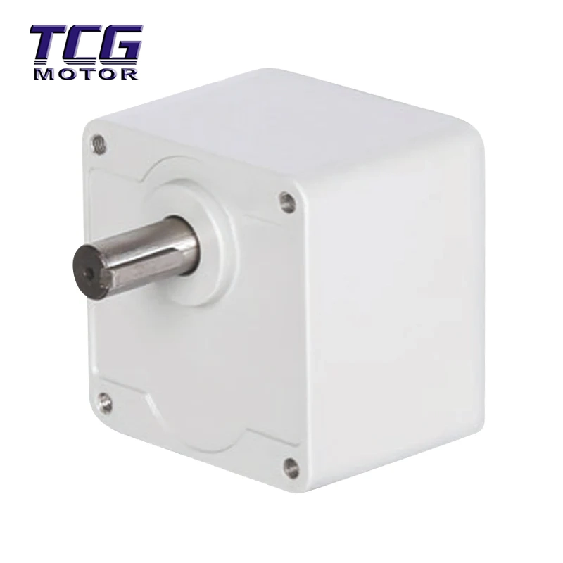 Bürstenloser Gleichstrommotor mit paralleler Welle